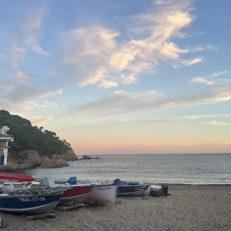 - Coastal Gem 50m From The Apartment Tamariu