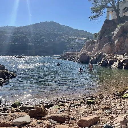 - Coastal Gem 50m From The Apartment
