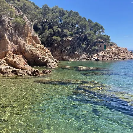 Apartment - Coastal Gem 50m From The