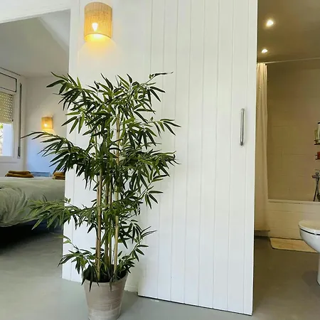 - Coastal Gem 50m From The