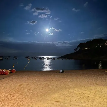 - Coastal Gem 50m From The *