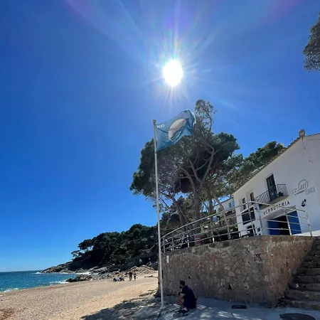 Apartment - Coastal Gem 50m From The