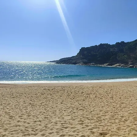 Apartment - Coastal Gem 50m From The *